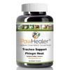 Trachea Support Dog Cough Remedy - Used for Loud, honking