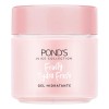 Pond's Gel Hidratante Facial Fruity Hydra Fresh Sandía 110 G