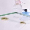Orhemus 2pcs Adjustable 304 Stainless Steel Glass Clamp Clip Shelf