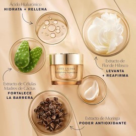 Este Lauder Regalo Set 6 Piezas en Comparas Superiores a 2500: Cosmetiquera Edicin Especial 5 Minis Skincare y Maquillaje
