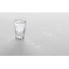 Hyaku Percent (100%) Sakura Saku Tumbler, Clear