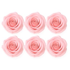 Box of 6 Eternal Roses in Baby Pink | Shelf Life Over 3 Years | Preserved Roses for Decoration and Gift | DIY - Craft Ideas | Weddings, Anniversaries and Floral Arrangements