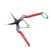 Konsho Chikamasa Large Fruit Picking Shears 7.7 inches (195 mm)