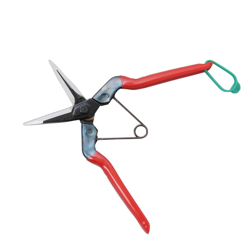 Konsho Chikamasa Large Fruit Picking Shears 7.7 inches (195 mm)