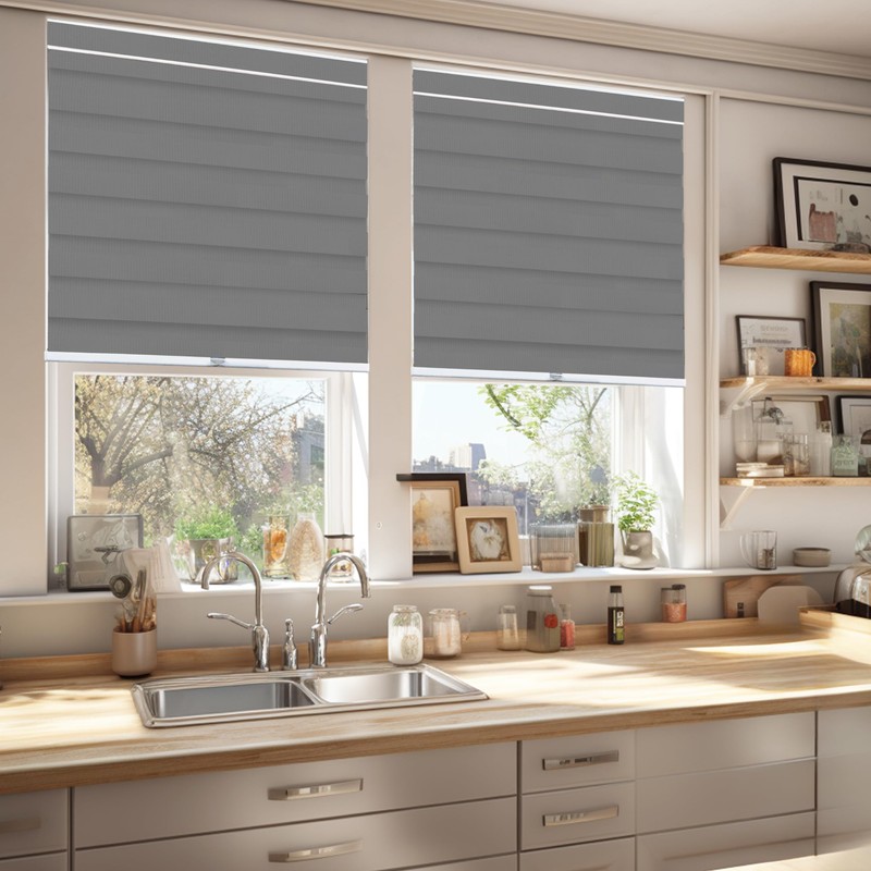 CHICOLOGY Zebra Blinds , Roller Window Shades , Blinds for