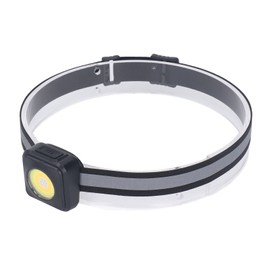 Automotive Paint Light with Charger for Car, Door sill Plates, Wheelhouses, Doors, and Hood Side Pillars