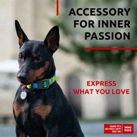 Nylon Dog Collar with Airtag Holder - Adjustable Dog Collar for Large Dogs, Small & Medium Dogs - Breakaway Puppy Collars for Large Breed Dogs - Boy & Girl Dog Collars with Durable Plastic Buckle