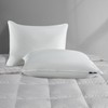Serta 233 Thread Count White Goose Feather Medium Firm 100%