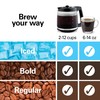 Hamilton Beach 2-Way 12 Cup Programmable Drip Hot and Iced