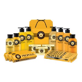 OTMARTFOOD [LG Household & Health Care] Comprehensive Set Masterpiece Propolis No. 82 (A5) Single option