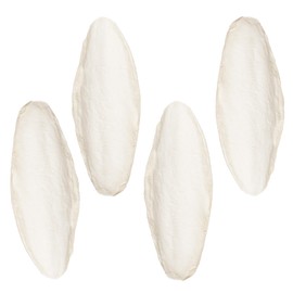 SunGrow 4 Pack Large 6-inch Cuttlefish Bones for Cockatiels, Turtles, Shrimp, Calcium for Beak Trimming, Cuddle Bone for Sharp Beaks, Calcium Block Stone for Egg-Laying Birds