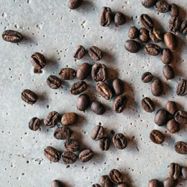 TOKYO COFFEE Organic Blend, Medium Roast Whole Bean Coffee from Japan - 12oz Bag - Sweet and Smooth Signature Blend made with 100% Arabica Beans
