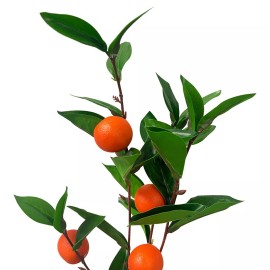 Unbranded 35" Spring Botanical Artificial Orange Fruit Spray Flowers Party Home Decor