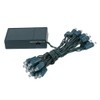 Novelty Lights Battery Operated LED Mini Lights 8 Feet, 20