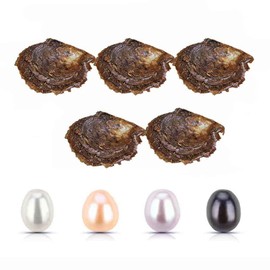 LGSY 5PC Rice Pearl Oysters to Open, Mixed Colored Pearl Oyster for Party(7-8mm, White, Pink, Purple, Black)