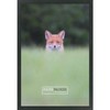 Poster Palooza 18x20 Contemporary Black Wood Picture Frame - UV