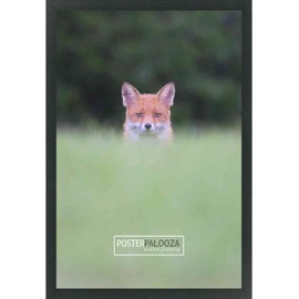 Poster Palooza 18x20 Contemporary Black Wood Picture Frame - UV Acrylic, Foam Board Backing, & Hanging Hardware Included!