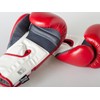 Paffen Sport FIT Boxing Gloves with Breathable Mesh Palm for