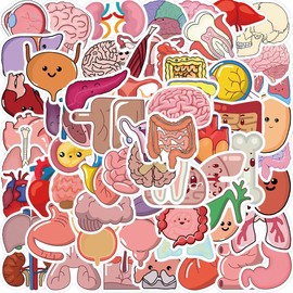 Organs Stickers for Laptop (Pack of 50), Gift for Children, Teenagers, Adults, Boys, Organs Stickers, Waterproof Vinyl Stickers for Scrapbooking, Skateboard, Car, Luggage