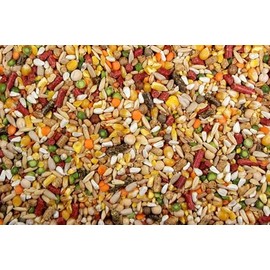 DelightFood Chicken Feed, Whole Ingredient Chicken Treat, Wied Variety of Grains Poultry Feed (10 Pound (Pack of 1), High-Octain (High Protein) with Cracked Corn)