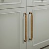 Goo-Ki 5 Inch Hole Center Antique Brass Cabinet Pulls Zinc