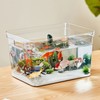 Frameless Clear Aquarium 360 Degree Visibility DIY Decoration Clear Rimless