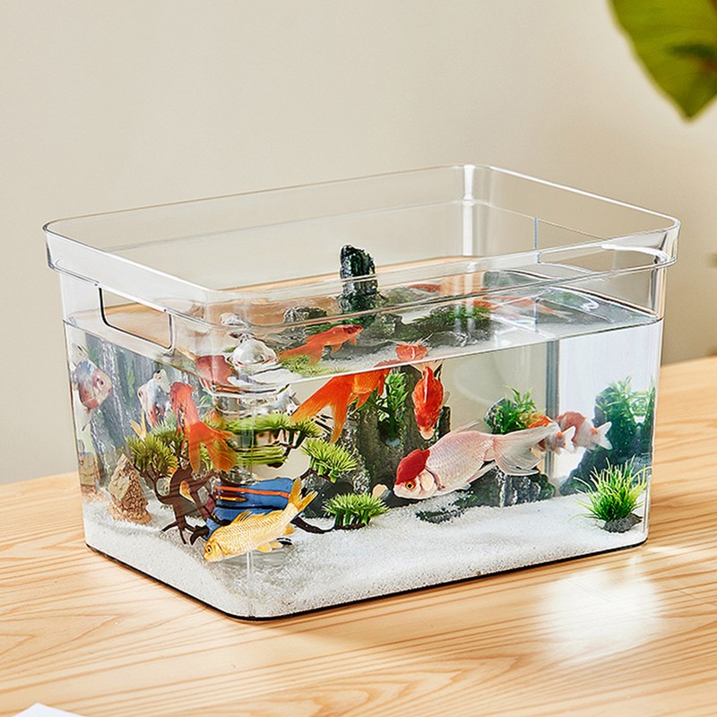 Frameless Clear Aquarium 360 Degree Visibility DIY Decoration Clear Rimless