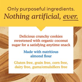 Simple Mills Chocolate Chip Almond Flour Cookies 5.5 Oz Gluten Free Snack