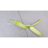 Orchids Vanilla Bean Orchid, 12 Inches Fresh Cutting from My