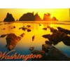BEAUTIFUL PHOTO POST CARD SHI SHI BEACH WASHINGTON ..