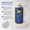 Shampoo Anti-Caspa Para Hombre Productos Mart Mexico 500 Ml