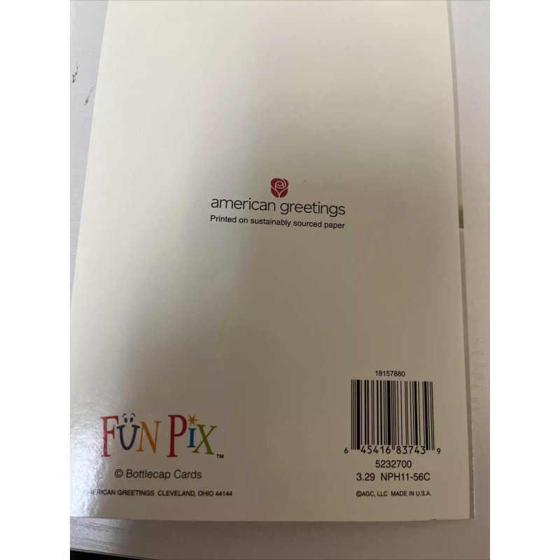 american greetings Puppy In A File Congratulatory