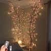 Hmdkepf Cherry LED Tree Branch Lights for Wall, 48/144 LED