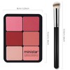 LSxia 12 Colors Cream [Blush] Makeup Palette for Cheeks -