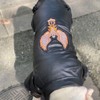 Lovelonglong Cool Dog Leather Jacket, Warm Coats Dogs Windproof Cold