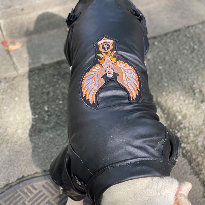 Lovelonglong Cool Dog Leather Jacket, Warm Coats Dogs Windproof Cold