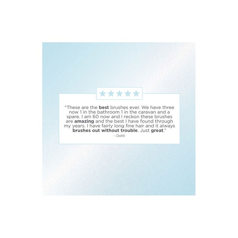 Lady Jayne FlexiGlide Brush Purse Size