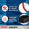 SPRI Xercuff Leg Resistance Band Exercise Cord with Non-Slip Padded