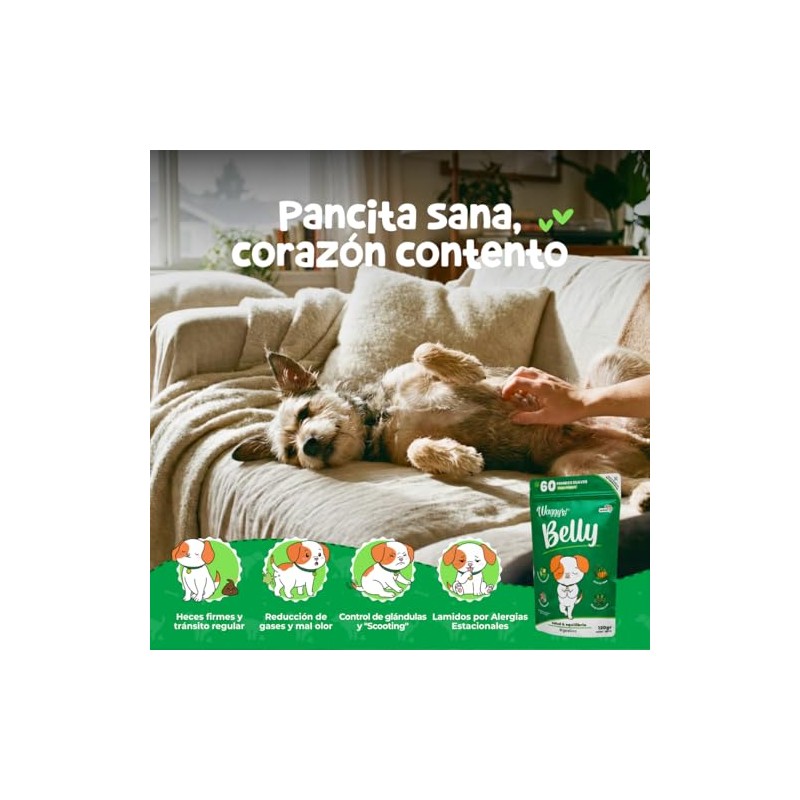 Waggys Belly, Suplemento Digestivo con Probióticos para Perros, 60 pzs