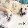 Fancy Pets Guillotina Cortauñas para Perros con Recipiente Recolector y