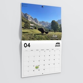 Dogs Pooping In Beautiful Places 2025 Calendar - Holiday Christmas Gag Gift White Elephant