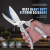 DRAGON RIOT Poultry Shears, Sharp Kitchen Scissors Heavy Duty, Silver