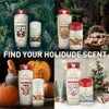 Old Spice Old Spice Body Wash for Men, Holidudes Limited