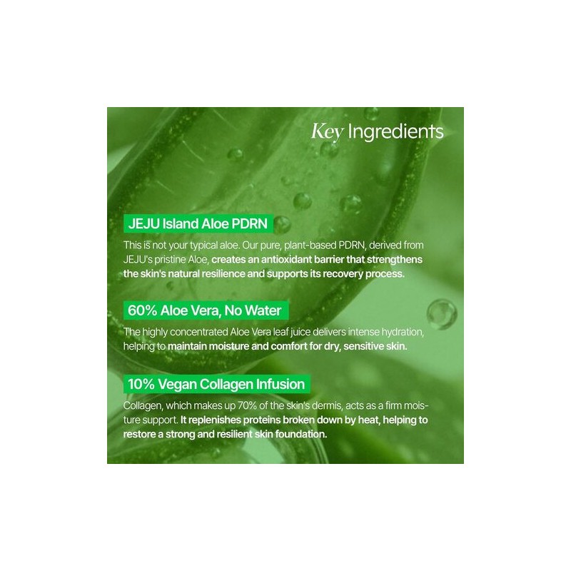 shaishaishai [shaishaishai]Aloe PDRN Cooling Repair Ampoule 50ml
