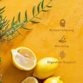 ORGANIC INDIA Organic India Tulsi Lemon & Ginger Tea, Caffeine-Free Herbal Tea, Certified Organic & Natural Ingredients, 18 Tea Bags