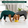 Kuoser Dog Recovery Suit for Back Legs, Soft Dog Surgery