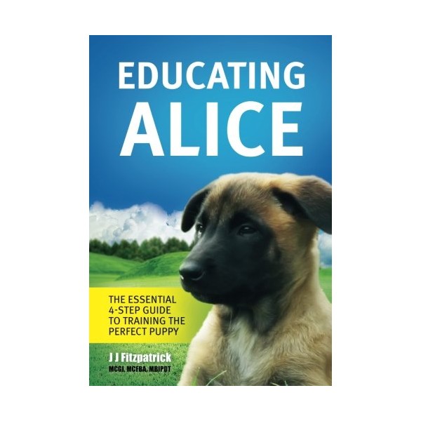 Educating Alice: The Essential 4-Step Guide To Training The Perfect