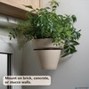 6 Inch Plant Hangers Outdoor and Indoor Ring Holder 8