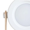 LED Lantern Night Light Foldable Telescopic USB Table Lamp Outdoor