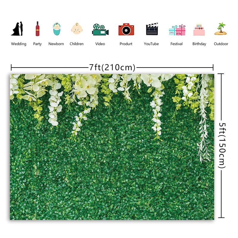 Green Leaves Backdrop Nature Green Leaf White Flower Wall Photography